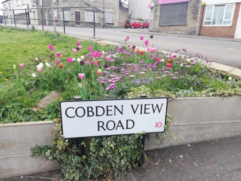 Cobden View Road community garden